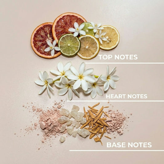 Citrus Breeze